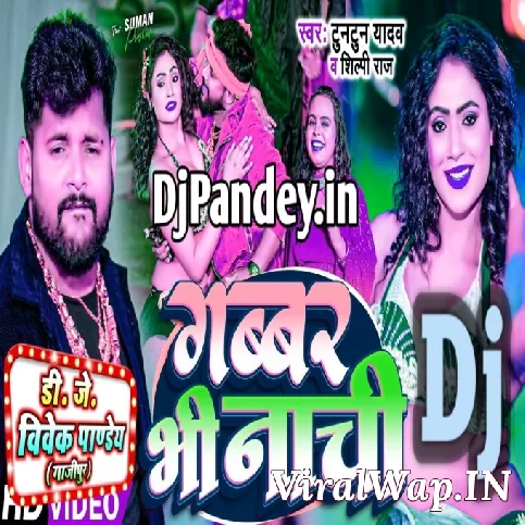 Aaj Gabbar Bhi Nachi (Tuntun Yadav,Shilpi Raj) New Song 2024 Dj Vivek Pandey Ghazipur