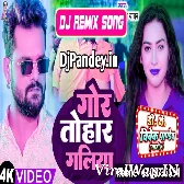 Gori Tohar Galiya Lagela Rasagulla (Khesari Lal Yadav) New Dance Mix Dj Vivek Pandey